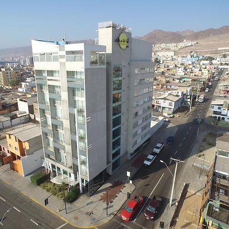 Hotel Alto Del Sol Costanera Antofagasta Zewnętrze zdjęcie
